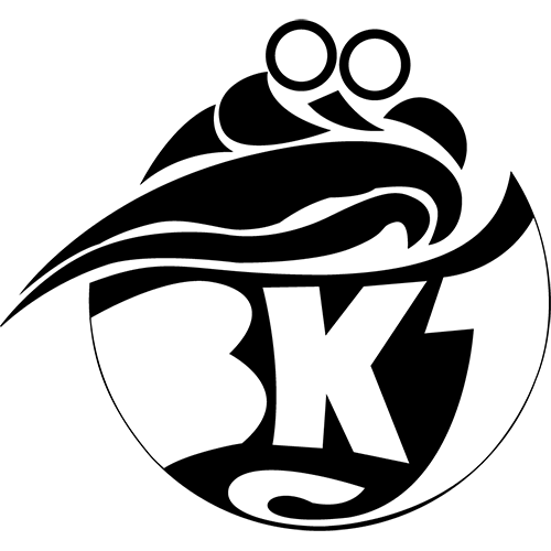 thumbnail of BkJ Logo 1-farbig (png)