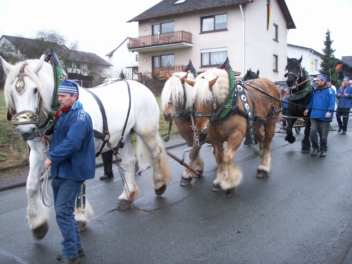 Rückersgespann im Festzug