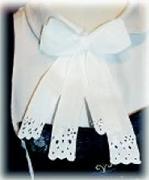 Tracht des Amtes Blankenstein Frau Quast